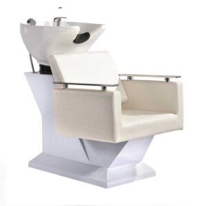 hair wash chair price