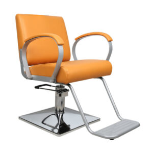 salon beauty chair