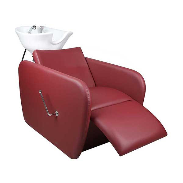 shampoo bowl and chair